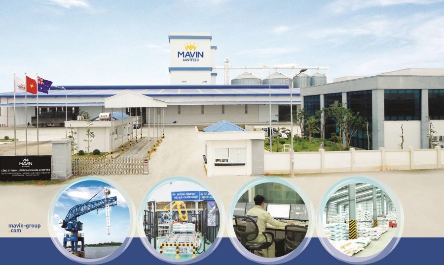 Nhà máy Mavin Austfeed tại Đồng Tháp