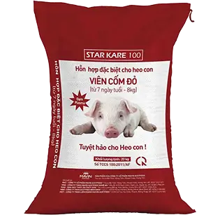 STARKARE 100