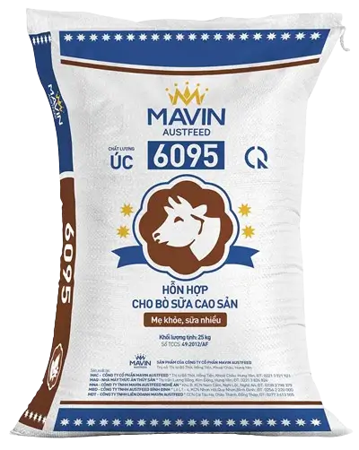 BÒ SỮA CAO SẢN 6095