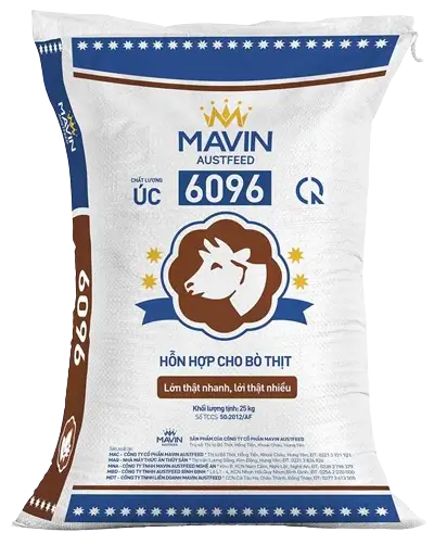 BÒ SỮA CAO SẢN 6095