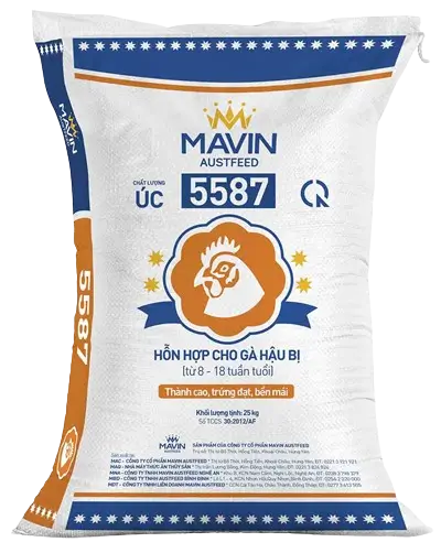 GÀ HẬU BỊ 5587