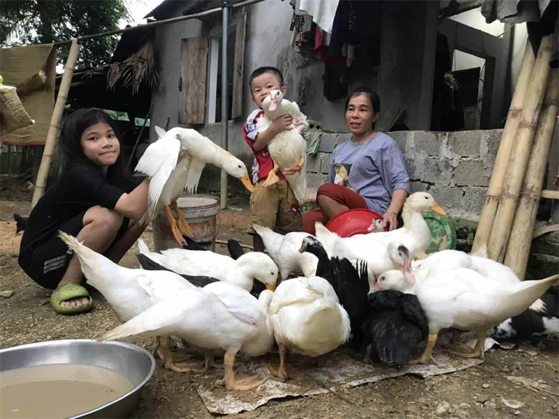 Mạnh dạn học kỹ năng mới: chăn nuôi