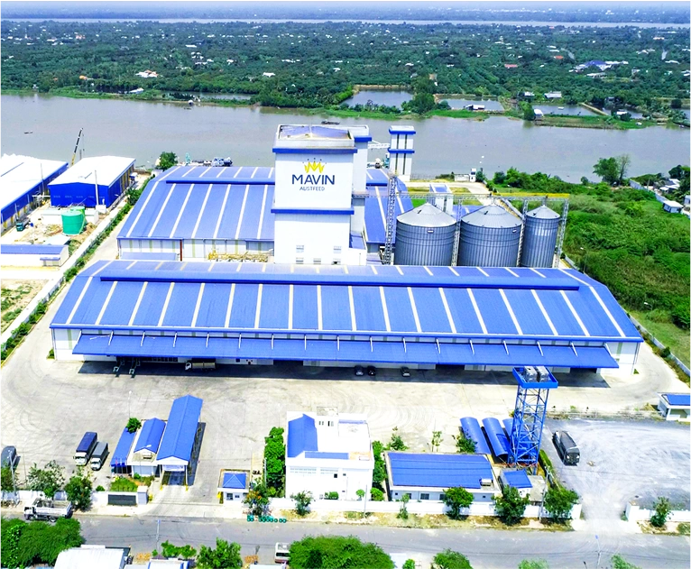 Chuyên gia tư vấn