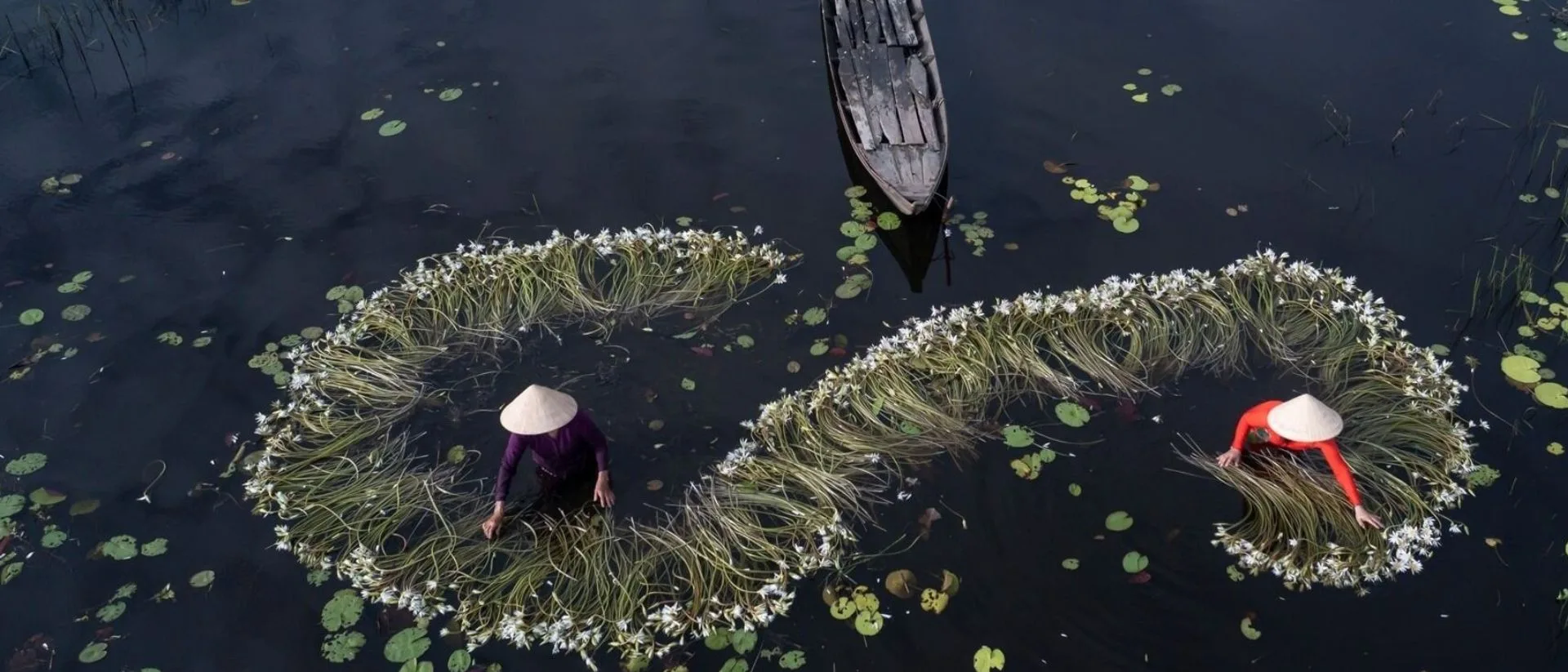 Viet Nam Travel & Food Explorer