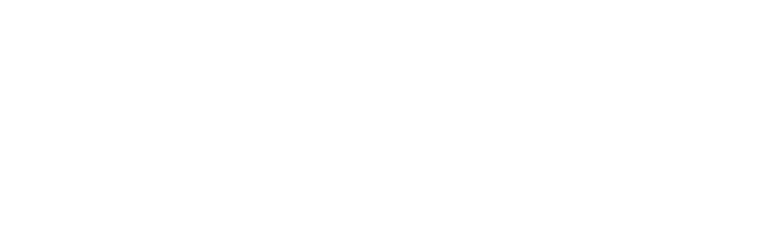 Viet Nam Travel & Food Explorer