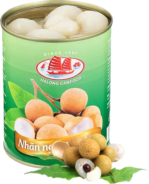 Nhãn lồng